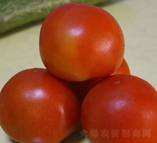 CNUS05F1-�������L���ѷN��-�A���N��