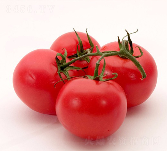 CNUS1415-9-�������L���ѷN��-�A���N��