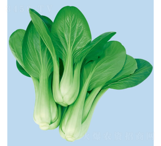 ���Ŀ��-С�ײ˷N��-�c�l(f��)��ʢ