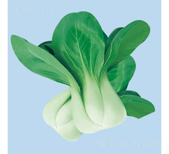 �����ļ���-С�ײ˷N��-�c�l(f��)��ʢ