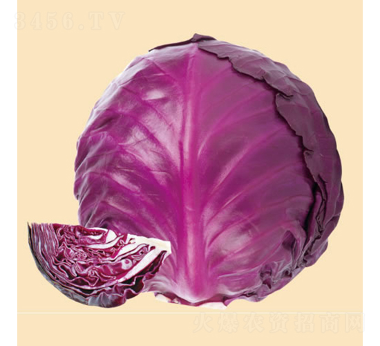 �ϻʺ�65��-���{�N��-�c�l(f��)��ʢ