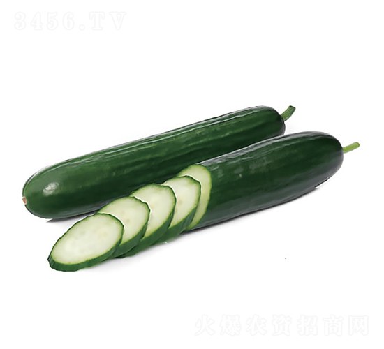 �c�n988-�S�ϷN��-�c�l(f��)��ʢ