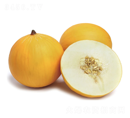 慶禾蜜貝-甜瓜種子-慶發(fā)禾盛