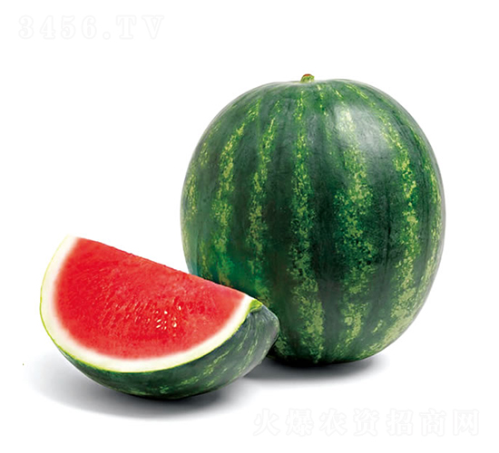 花妞5號-西瓜種子-慶發(fā)禾盛