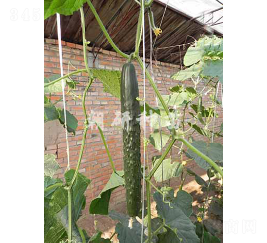 ����708-�S�ϷN��-���зN��