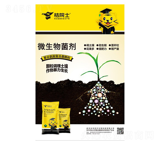 �w��΢�������-��Ժʿ-���A�r��