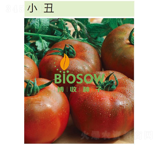 С��-���ѷN��-���շN��