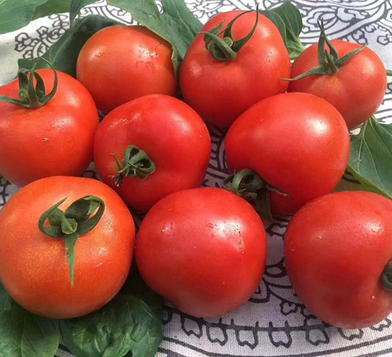 �t����-���ѷN��-���շN��