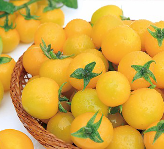 �S��-���ѷN��-���շN��