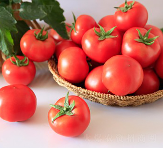 ����747-���ѷN��-���շN��