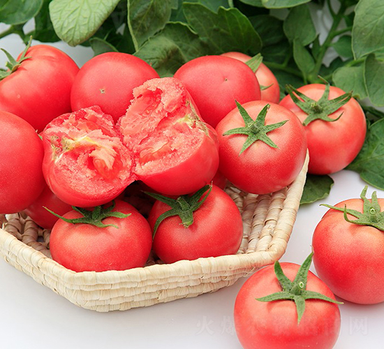 御宴920-番茄種子-博收種子