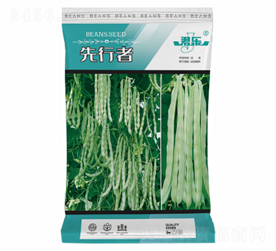 先行者-諾易達(dá)