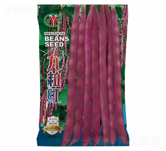 �����t-�Z���_(d��)