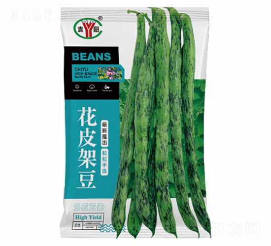 ��Ƥ�ܶ�-�Z���_(d��)