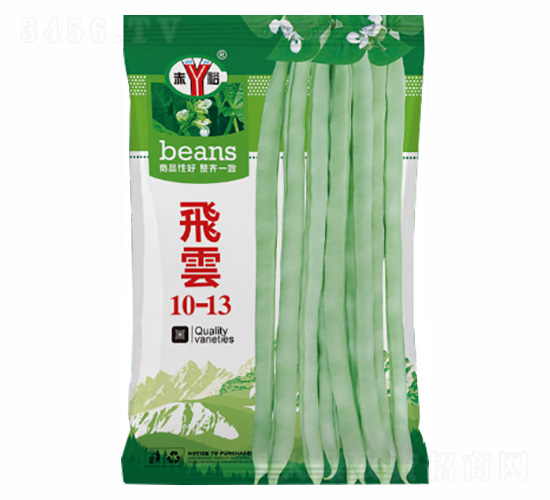 �w�(y��n)10-13-�Z���_(d��)