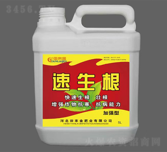 �ӏ�(qi��ng)��������-�����