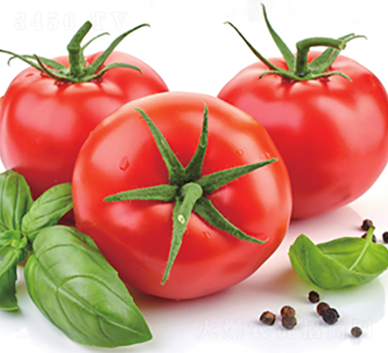 ���D-���ѷN��-����