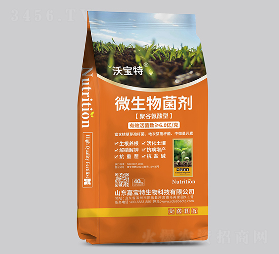 �۹Ȱ�����΢�������-�֌���-�Ό���