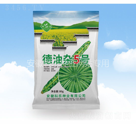 �����s5̖-�Ƙ��N�I(y��)