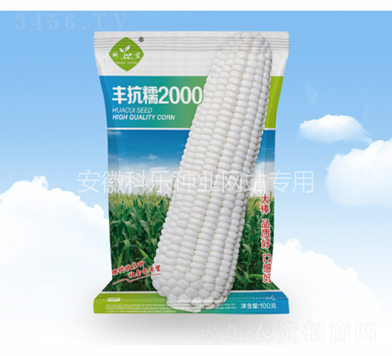 豐抗糯2000-科樂種業(yè)