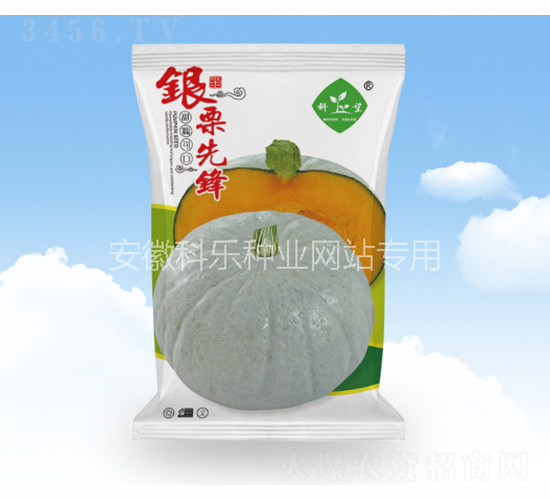 �y�����h-�Ƙ��N�I(y��)