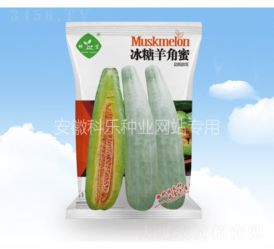 冰糖羊角蜜-科樂種業(yè)