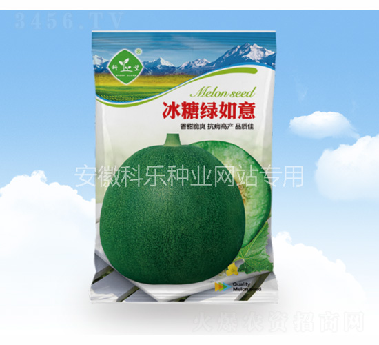 冰糖綠如意-科樂種業(yè)