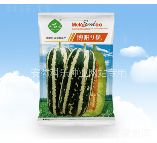 博陽9號(hào)-科樂種業(yè)