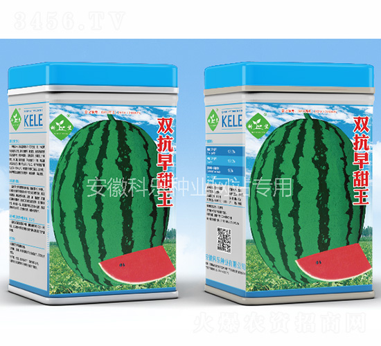 �p��������-�Ƙ��N�I(y��)