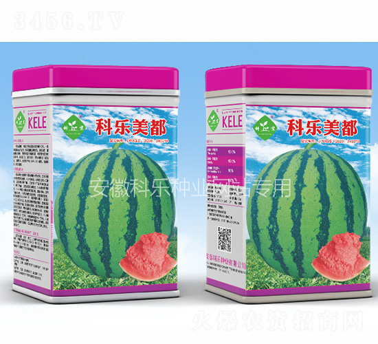 �Ƙ�(l��)����-�Ƙ�(l��)�N�I(y��)