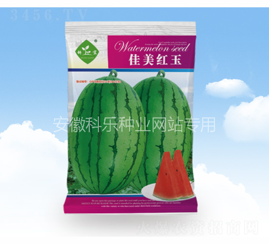 �����t��-�Ƙ��N�I(y��)