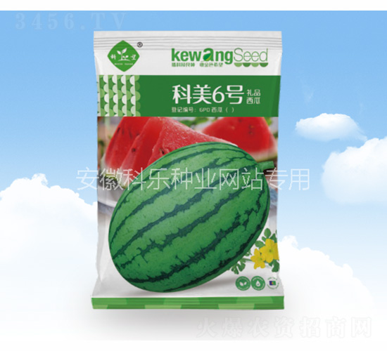 科美6號(hào)-科樂(lè)種業(yè)