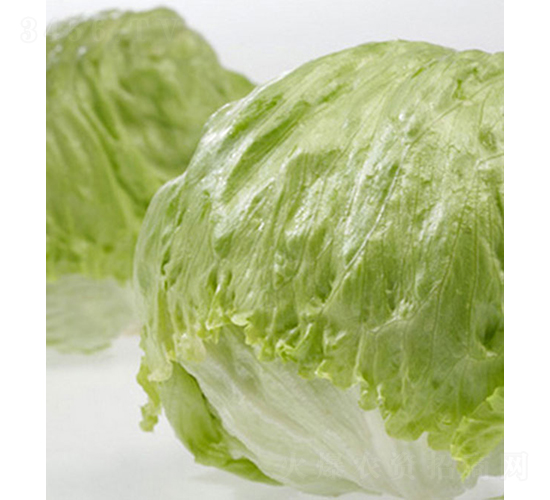 Patagonia-���˷N��-���r(n��ng)�r(n��ng)�I(y��)