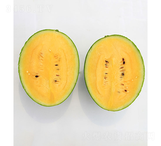 依農(nóng)精品1號(hào)-西瓜種子-依農(nóng)農(nóng)業(yè)