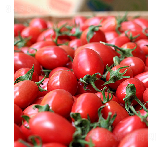 ���r(n��ng)���2̖-С���ѷN��-���r(n��ng)�r(n��ng)�I(y��)