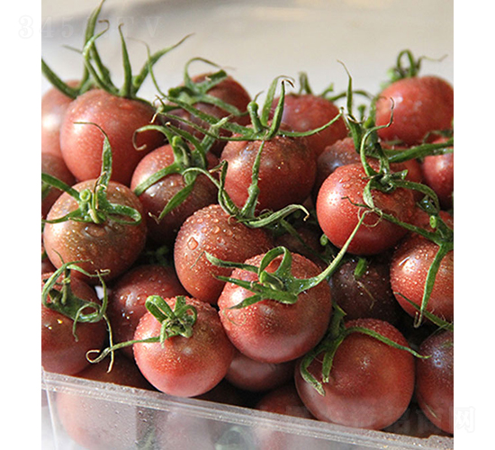 ���r(n��ng)������-С���ѷN��-���r(n��ng)�r(n��ng)�I(y��)