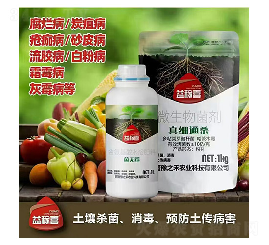 ���oۙ+�漚ͨ��-���ϲ-ԥ֮��