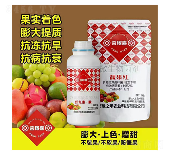 �r�t�ء���+�n���t-���ϲ-ԥ֮��