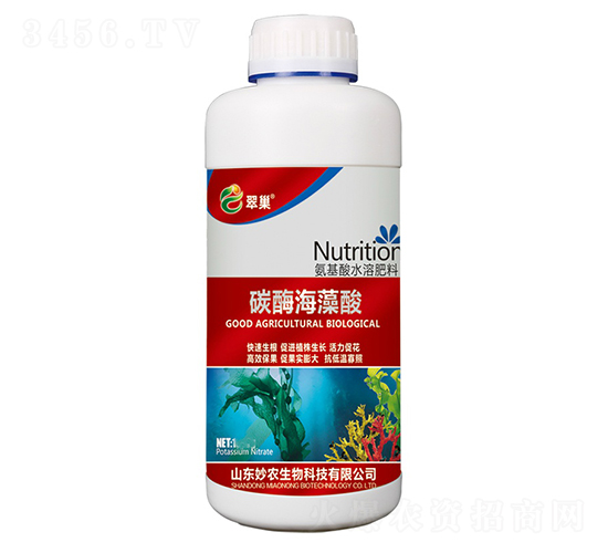 ̼ø������-�䳲-���r(n��ng)����