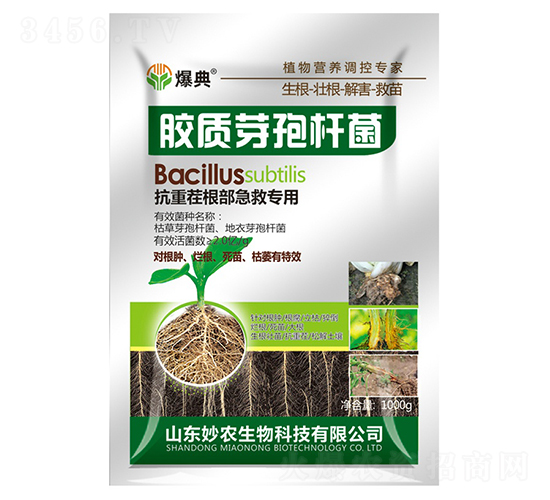 �z�|(zh��)ѿ�ߗU��-����-���r(n��ng)����