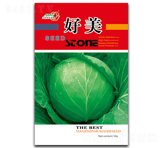 ����-���{(l��n)�N��-��ľï��