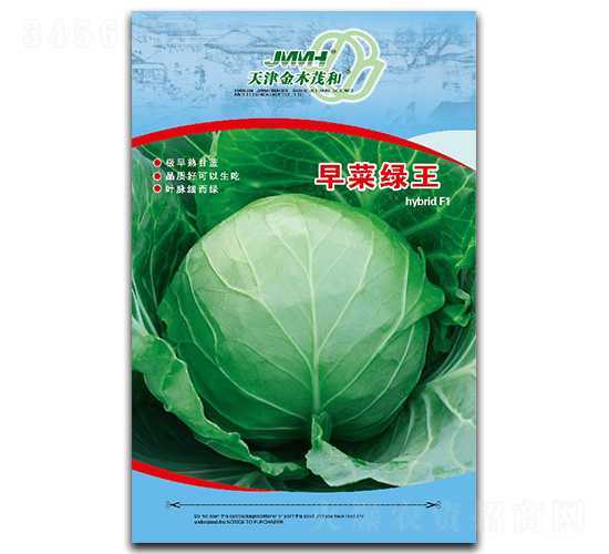早菜綠王-甘藍種子-金木茂和