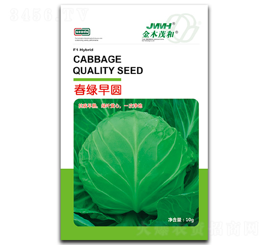 春綠早圓-甘藍種子-金木茂和