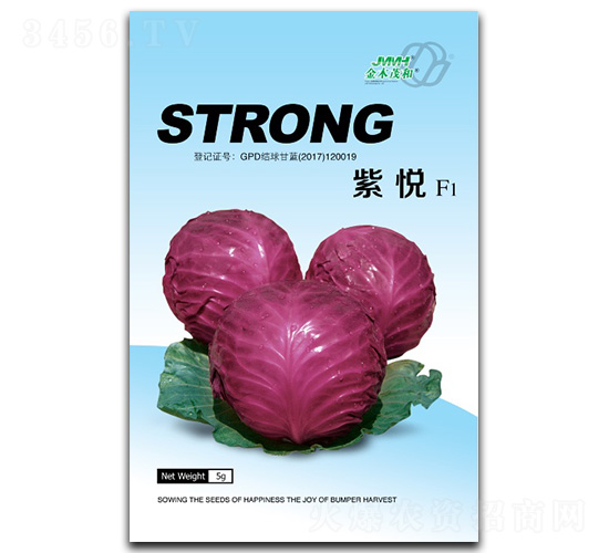 紫悅-甘藍(lán)種子-金木茂和