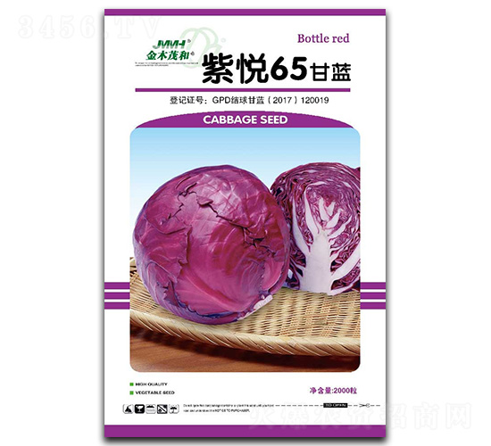 紫悅65（紫埼玉）-甘藍(lán)種子-金木茂和