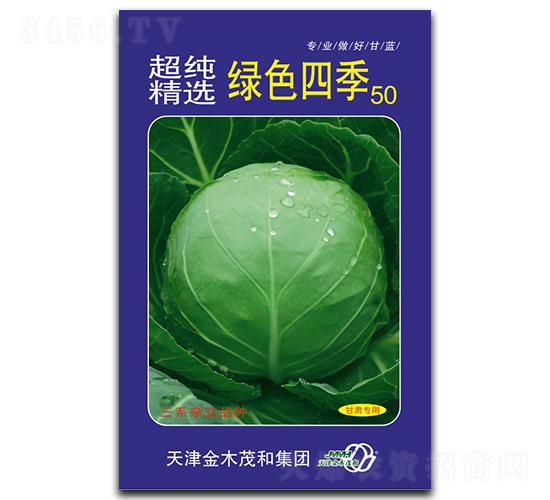 綠色四季50-甘藍(lán)種子-金木茂和