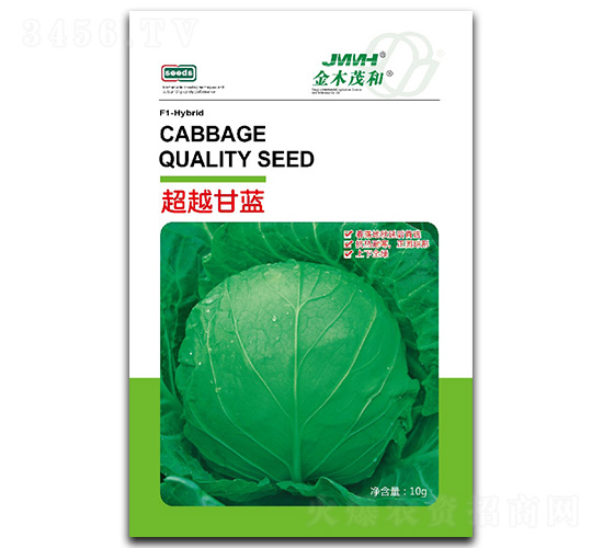 超越甘藍-甘藍種子-金木茂和