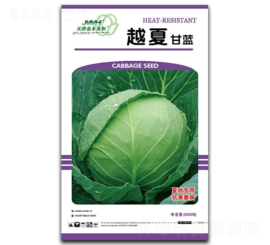 越夏-甘藍種子-金木茂和