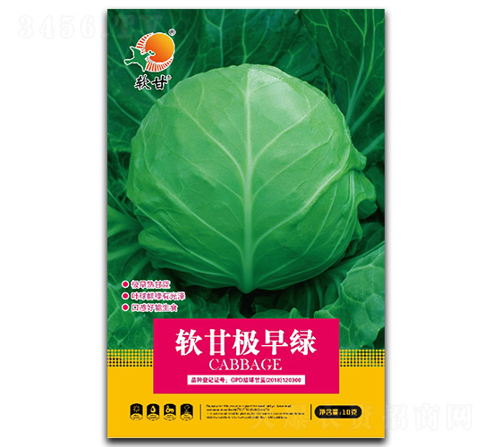 軟甘極早綠-甘藍種子-金木茂和