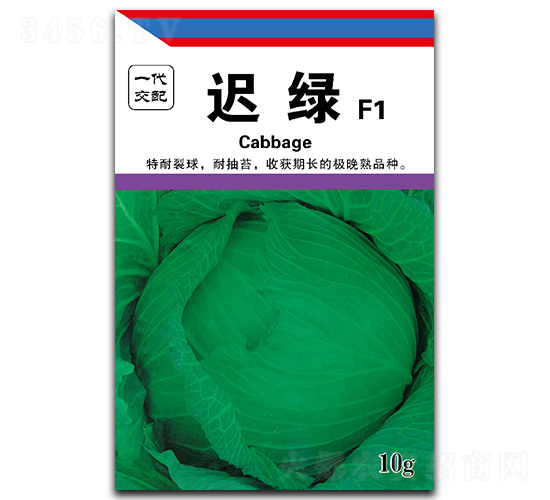 遲綠-甘藍種子-金木茂和